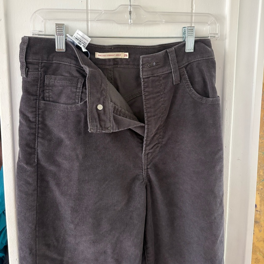 Gray Corduroy Pants